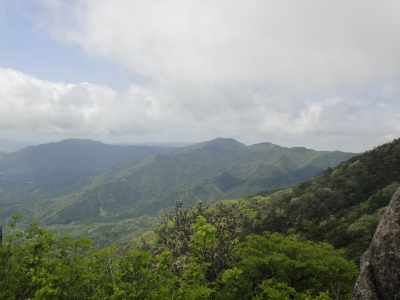 d0182075_71936.jpg