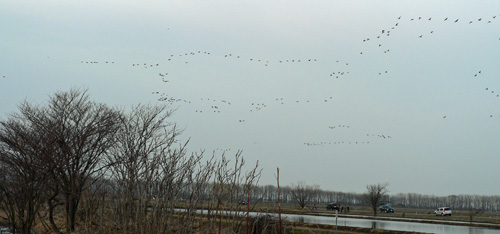 f0083977_901550.jpg