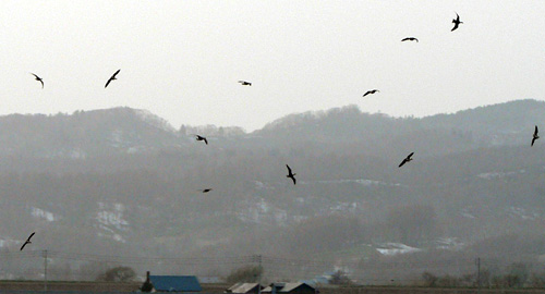 f0083977_912621.jpg