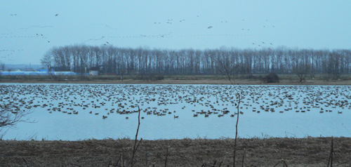 f0083977_92208.jpg