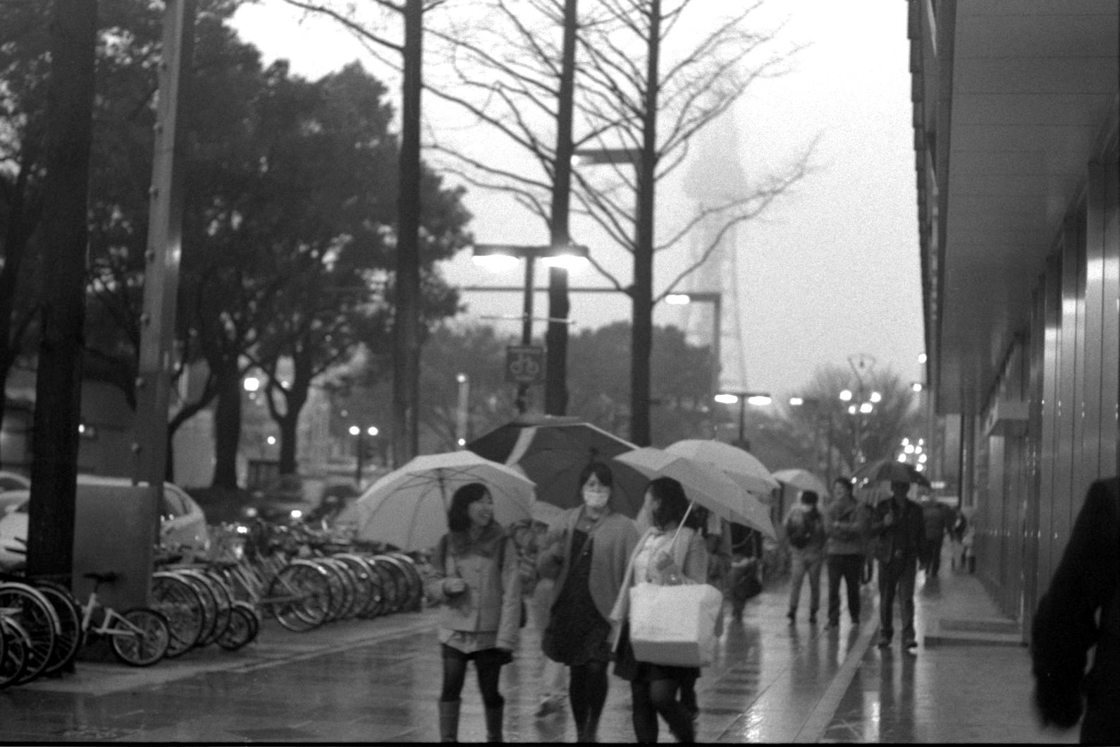 雨の日　；　T-MAX Developer(1:19) 　静止現像(21C 90min)_f0160179_23464720.jpg