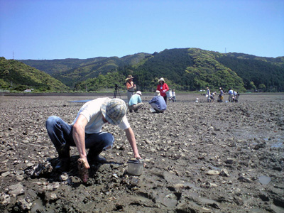 羊角湾の干潟観察会_c0187980_23185628.jpg