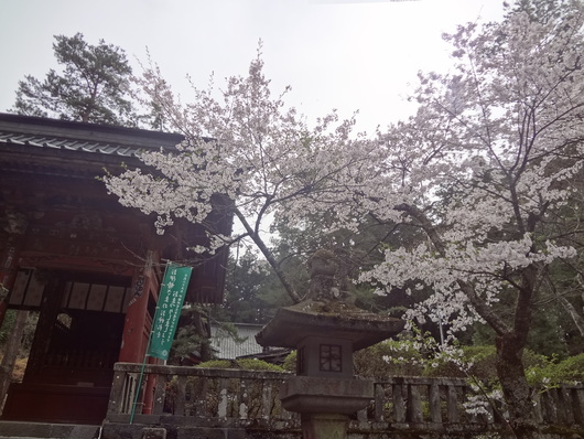 富士浅間神社_e0227680_18253462.jpg