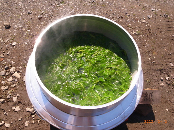 b0018682_21321590.jpg
