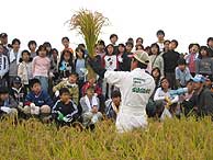 稲刈り体験(緑が丘小・北郷小)_d0247484_14164458.jpg