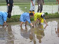 田植え体験(緑が丘小・北郷小)_d0247484_14361022.jpg