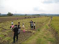 稲刈り体験(緑が丘小・北郷小)_d0247484_163079.jpg