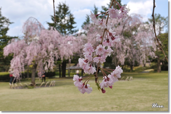 4月18日昭和記念公園_f0236388_16344492.jpg