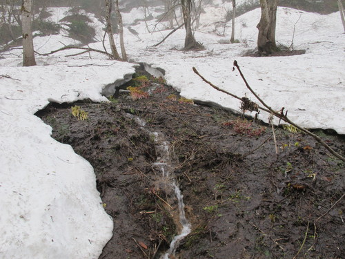 白川湖畔の雪山をハイキングする・・・１_c0075701_19154113.jpg