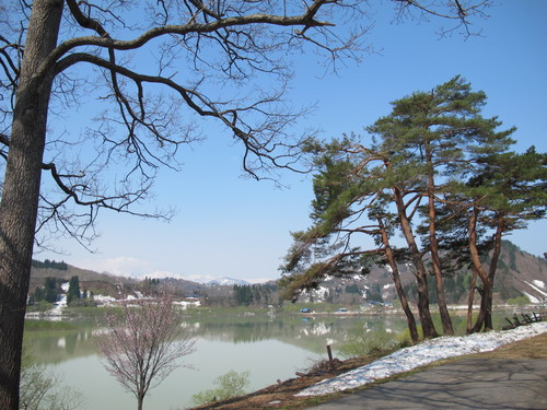 白川湖畔・ホテルフォレストいいでの白川湖、桜＆飯豊山・・・１5_c0075701_2343526.jpg