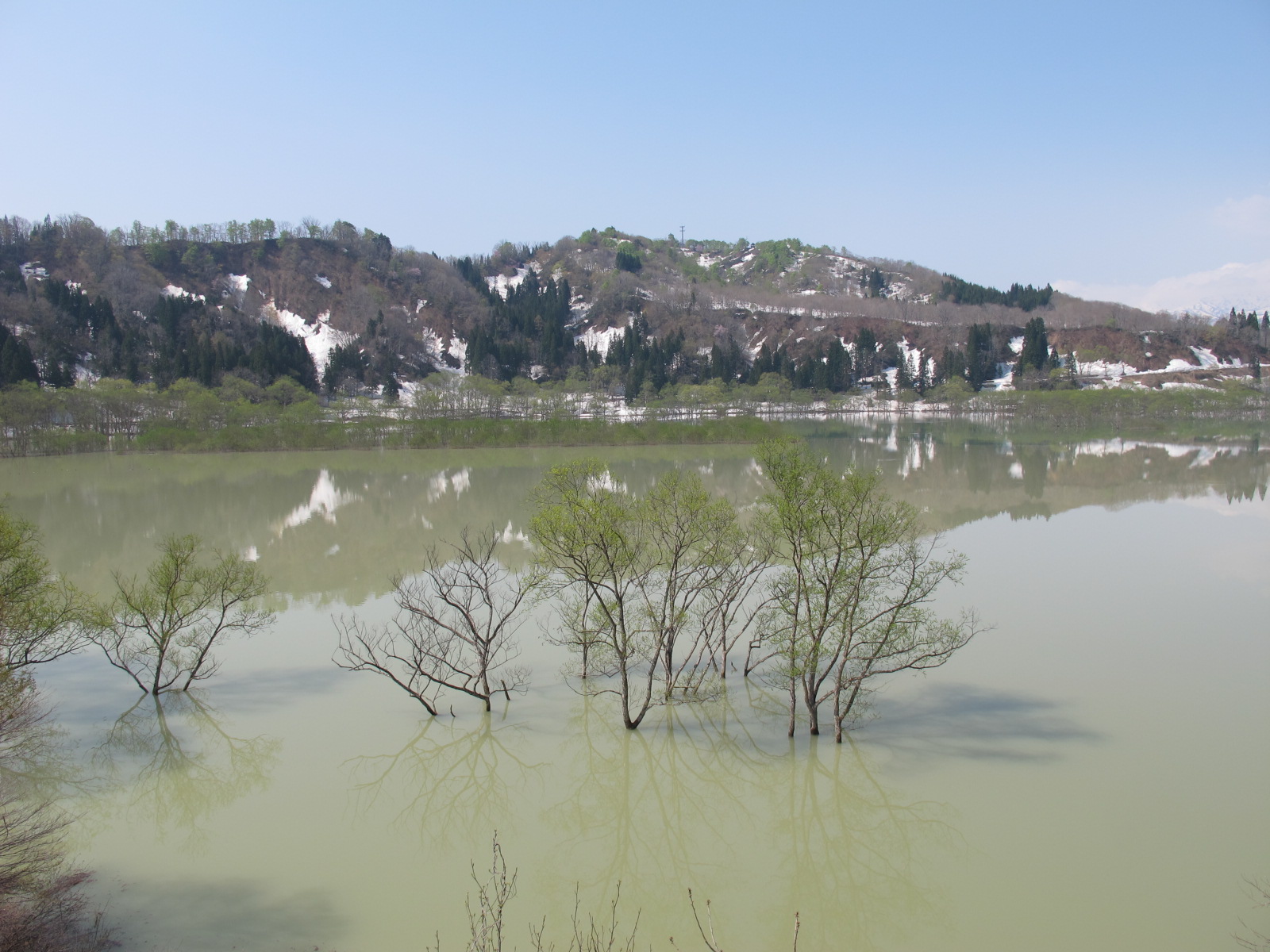 白川湖畔・ホテルフォレストいいでの白川湖、桜＆飯豊山・・・１2_c0075701_239364.jpg