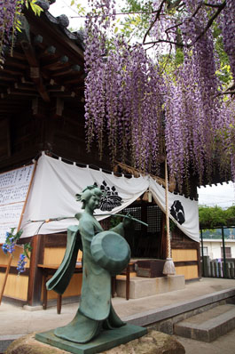 大歳神社の千年藤_d0090101_10591754.jpg