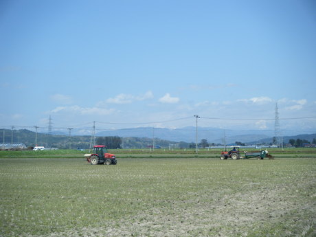 b0204506_2057241.jpg