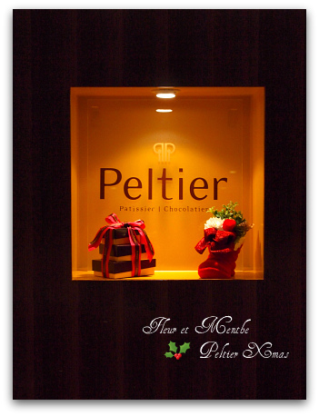 表参道Peltier display Xmas_c0160207_014337.jpg