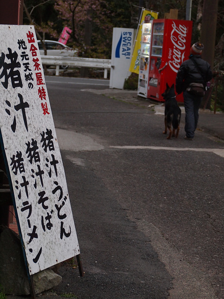 ハクト初めての伊豆早春キャンプ２（河津七滝）_f0180607_310307.jpg