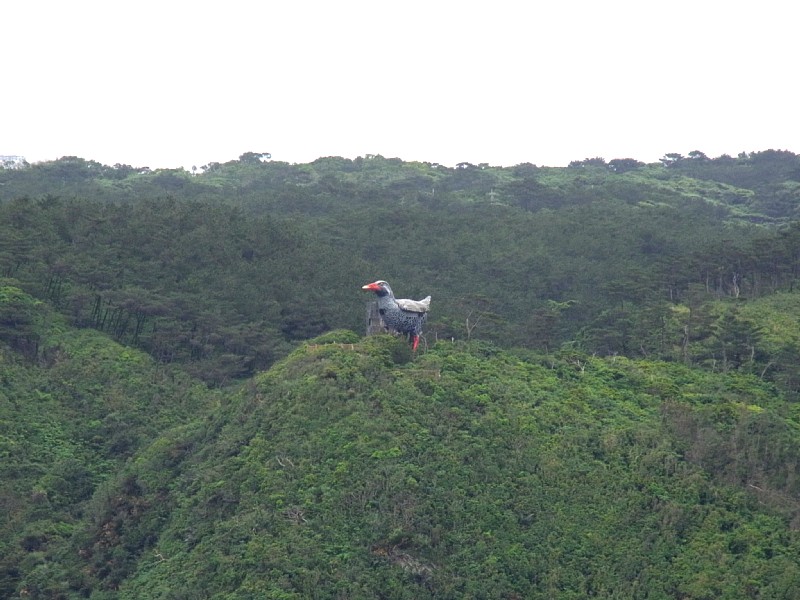 d0010008_049257.jpg