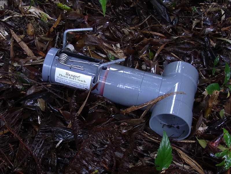 d0010008_0495916.jpg