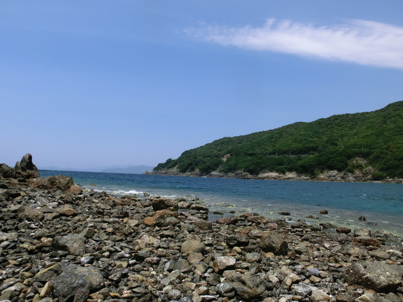 d0237309_2212262.jpg