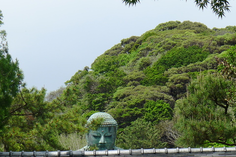 20120506 G.W-Kamakura_f0157613_22411534.jpg