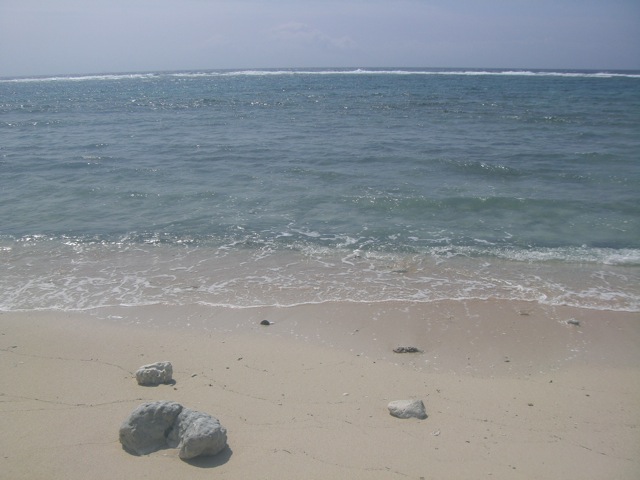 b0181015_17494130.jpg