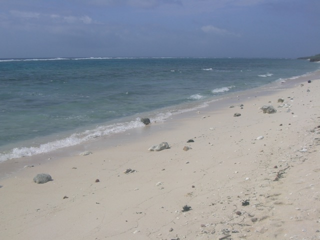 b0181015_22212278.jpg