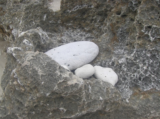 b0181015_22214985.jpg