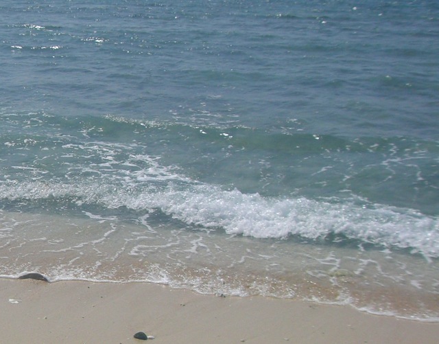 b0181015_22345451.jpg