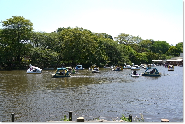 b0183917_18422760.jpg