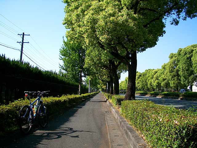 b0146418_23282364.jpg
