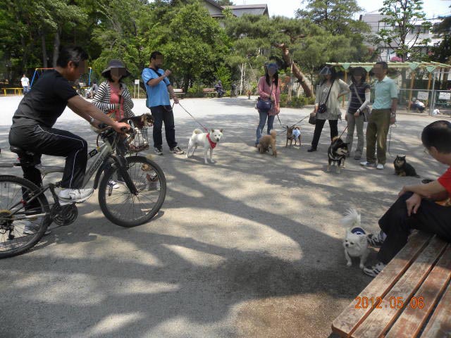 b0203018_1753050.jpg