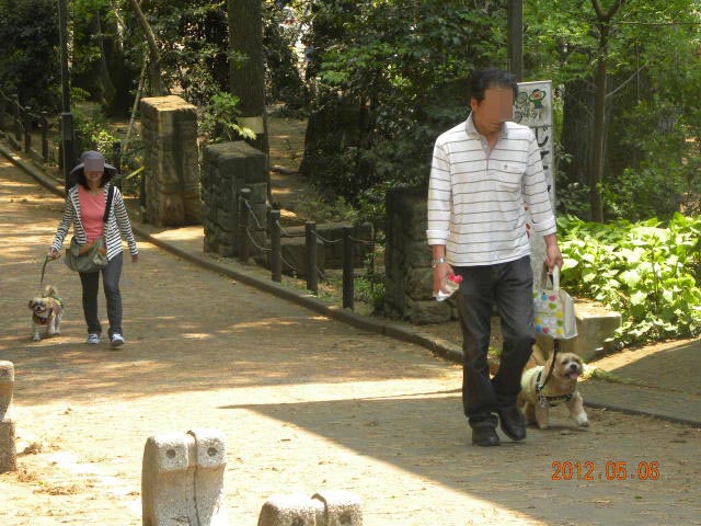 b0203018_1762312.jpg