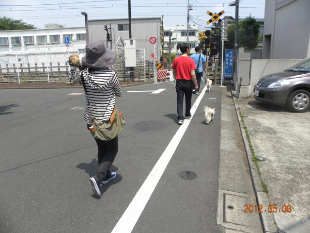 b0203018_1764532.jpg