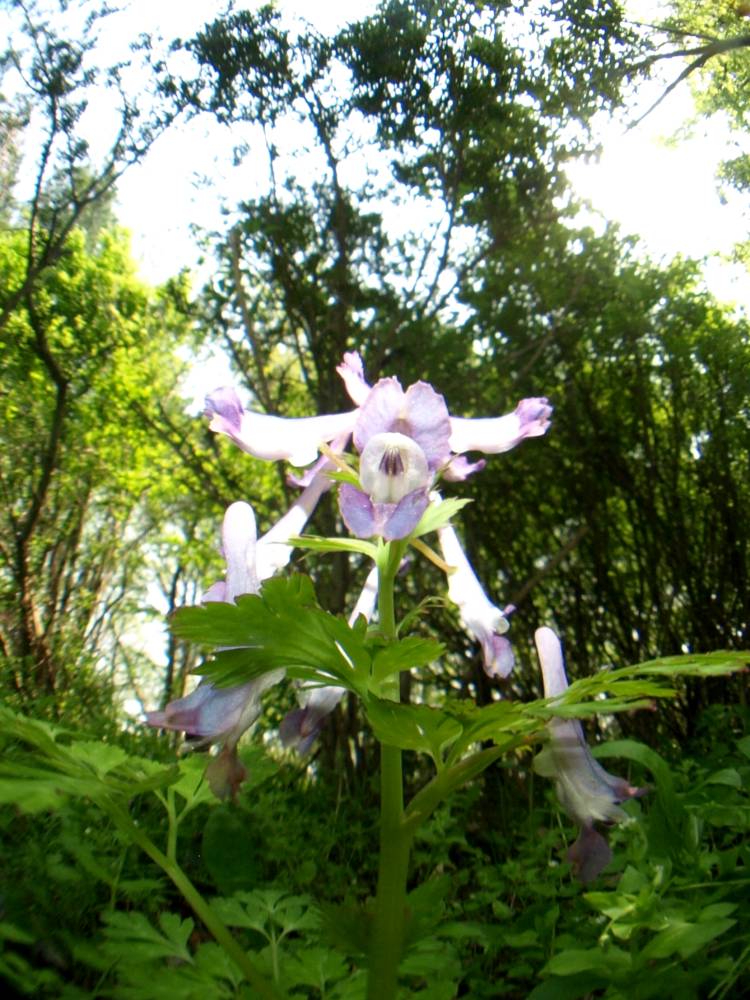 c0145418_1401215.jpg