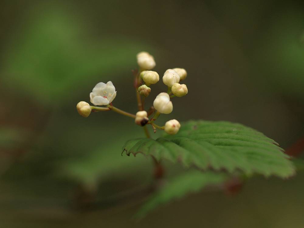 c0145418_1402837.jpg