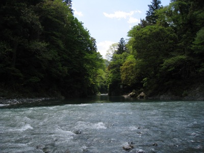 e0117318_2032227.jpg