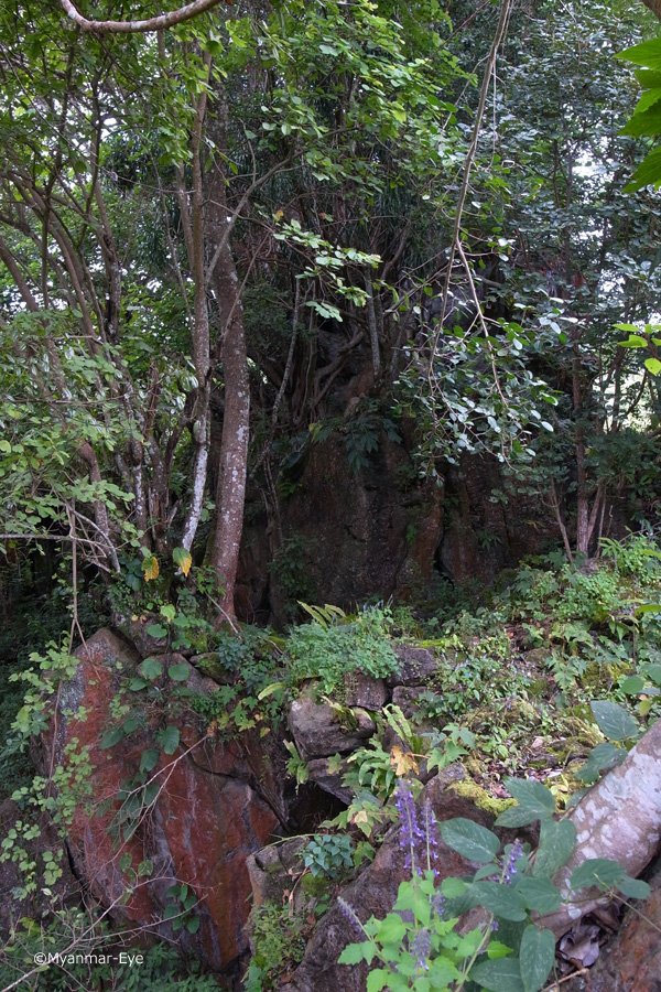 寺院の裏の聖地_c0098222_23166.jpg