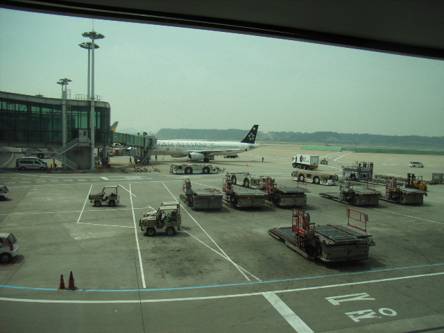 e0177824_1444869.jpg