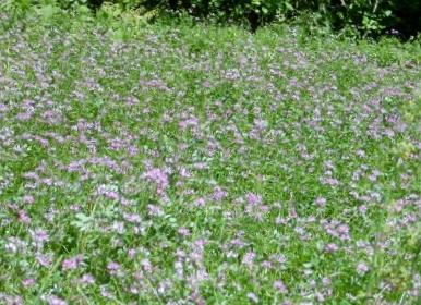 b0244227_835155.jpg