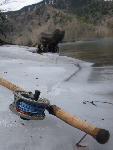 c0202727_221349.jpg
