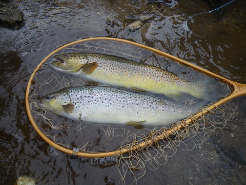 c0202727_22482994.jpg