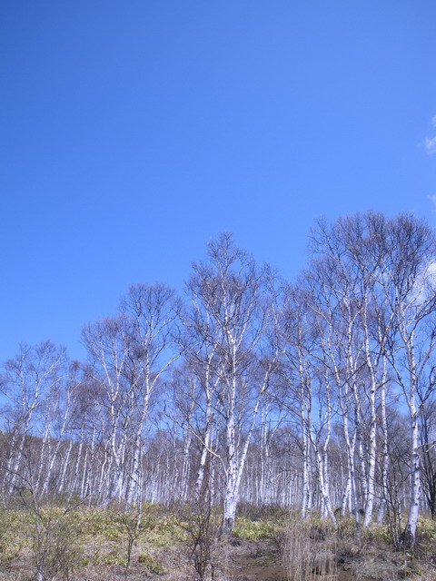 c0202727_22513245.jpg