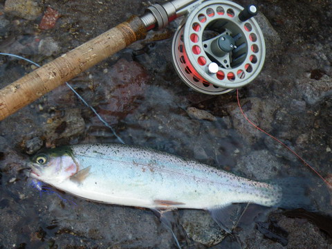c0202727_2282371.jpg