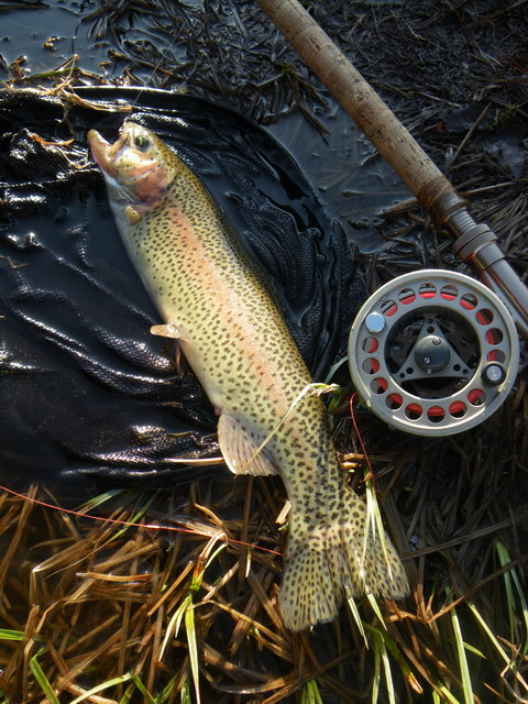 c0202727_2325353.jpg