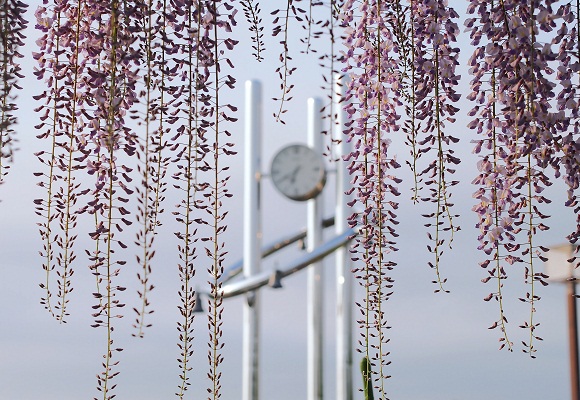 f0214527_10223073.jpg