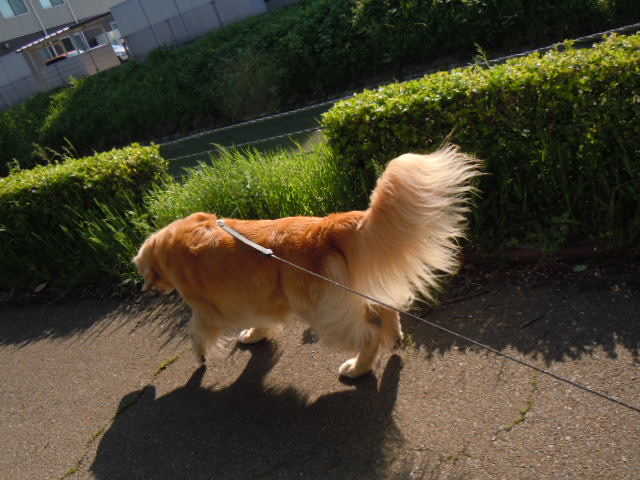 f0114128_18274869.jpg
