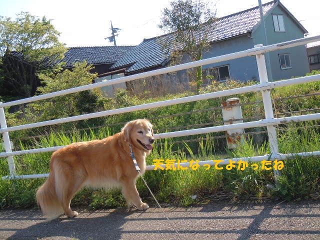 f0114128_1830269.jpg