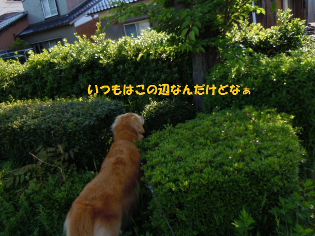 f0114128_18332510.jpg