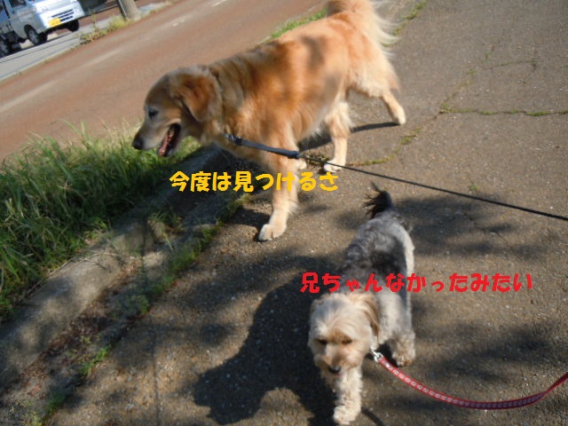 f0114128_18364297.jpg
