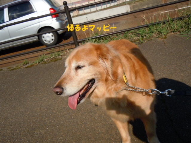 f0114128_1839220.jpg