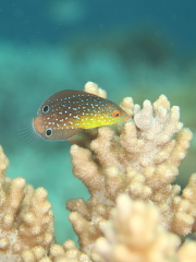 b0100730_2322512.jpg